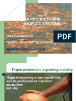 Tilapia Production in Biofloc Systems: Agyoram@technion - Ac.il