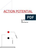 Action Potential