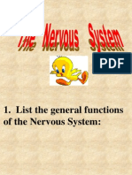 Nervous System Lecture