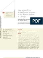 Neuropathic Pain: A Maladaptive Response of The Nervous System To Damage