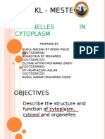 Organelles