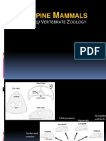 Mammals Charcteristics Bio 117 