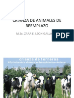 Crianza de Animales de Reemplazo 2012