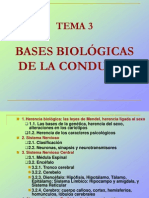 Bases Biologicas de La Conducta