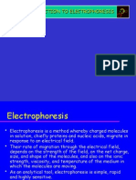 Introduction To Electrophoresis