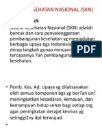 Sistem Kesehatan Nasional (SKN)