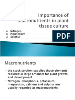 Macronutrients in Plant Tissue Culture (N, MG, S)