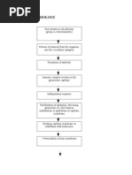 Pathophysiology of Acute Glumerulonephritis