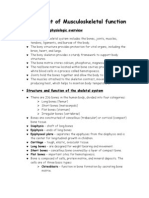 MusculoSkeletal System