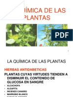 Laqumicadelasplantaspresentacin 101026114906 Phpapp01