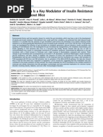 Gut Microbiota Is A Key Modulator of Insulin Resistance in TLR2 Def Mice