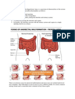 Anorectal Malformation