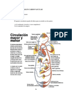 ANATOMÍA Y FISIOLOGÍA Aparato Cardiovascular