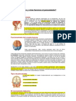 Qué Es y Cómo Funciona El Pensamiento