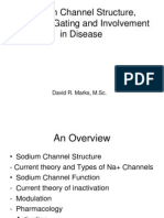 Sodium Channel Structure, Function, Gating and Involvement in Disease