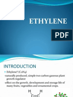 Ethylene Biosynthesis - New