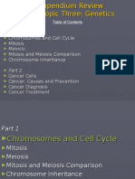 Chromosomes and Cell Cycle Mitosis Meiosis Mitosis and Meiosis Comparison Chromosome Inheritance