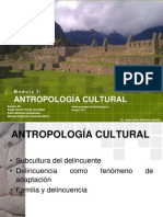 Cultural y Delinccuente