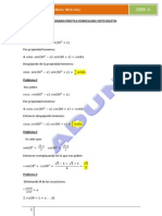 Practica Domiciliaria Anual Integral