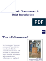 Electronic Government: A Brief Introduction