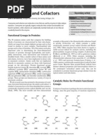 Coenzymes and Cofactors