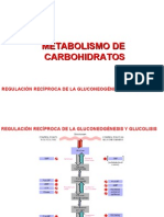 Regulac Glicolisis y Gluconeogenesis