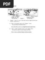 Observe, Predict, Hypothesis 2