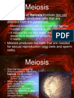 Meiosis MYP