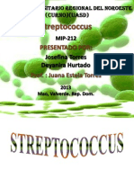 Streptococcus