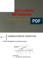 Carbohydrate Metabolism