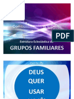 Grupos Familiares, Panoramica Geral