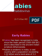 Rhabdovirus