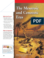 The Mesozoic and Cenozoic Era