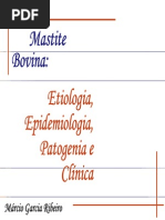 Mastite Bovina I