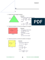 Areas Poligonos Resueltos Ciclo1