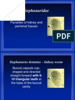 5 - Stephanurus, Heterakis and Spirurids