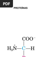 Proteinas 2