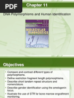 DNA Polymorphisms and Human Identification