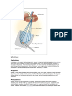 Lithotripsy