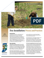 Tree Planting Details Process