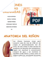 Infecciones de Vias Urinarias