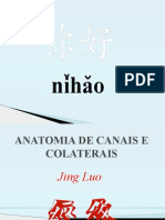 Anatomia de Canais e Colaterais Prof. Ailton Alexandre