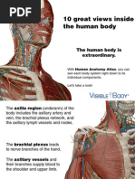 VB AnatomyAtlas Preview 112513