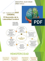 Hemisfericidad Cerebral PDF