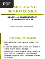 Aula Semiologia Sondagem Vesical e Cuidados Com o Corpo