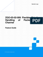 ZGO-03!02!009 Flexible Priority Handling of Packet Data Channel FG 20101030