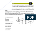 Anatomia de La Horma