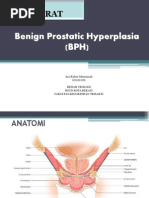 Benign Prostatic Hyperplasia (BPH)