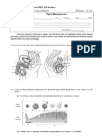 Teste Diagnostico Bio12