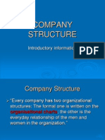 Company Structure: Introductory Information